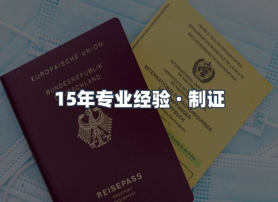 证件页面制证展示